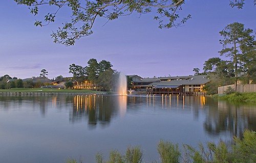 Gallery Picture