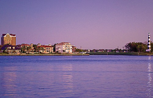 Gallery Picture